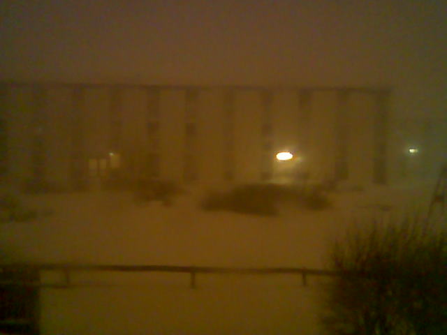 Image003.jpg